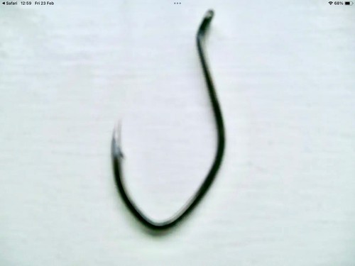 Cool for cats cat fishing - for,